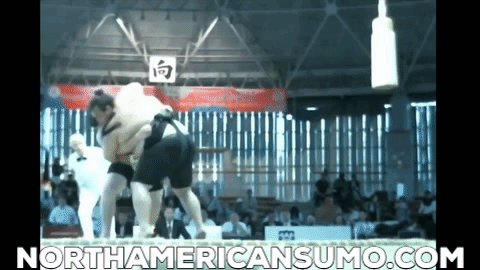 World Sumo Championships Team Match 4 - Robert Fuimaono