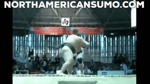 World Sumo Championships Team Match 6 - Roy Sims