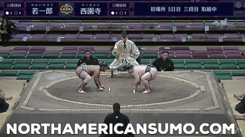 Wakaichiro Match 3 - Hatsu Basho 2020